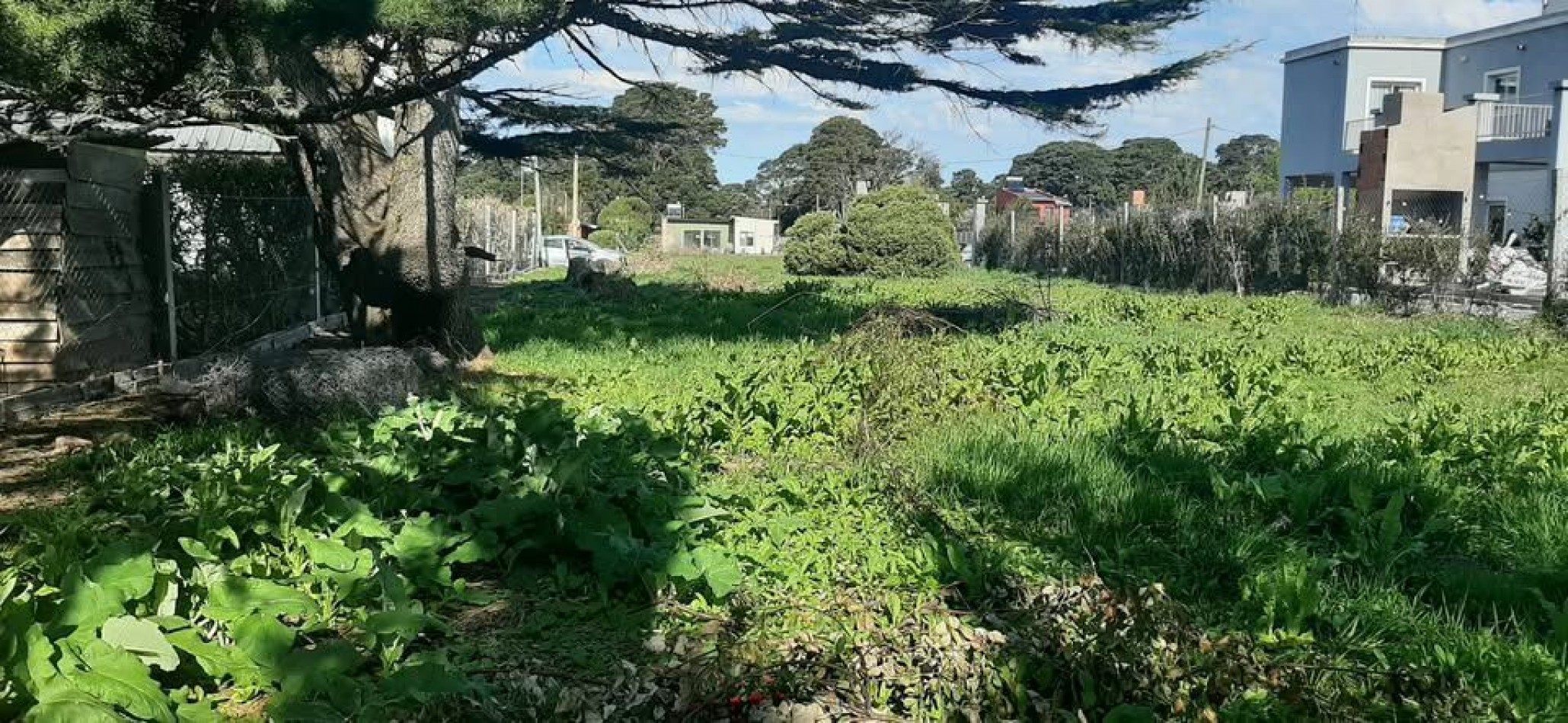 LOTE EN ACANTILADOS.