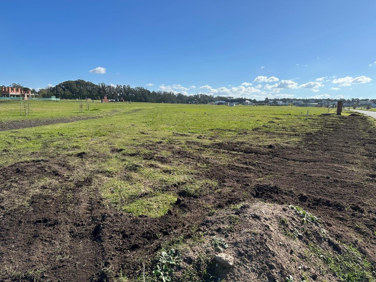 LOTE 5 CASONA DE HARAS .