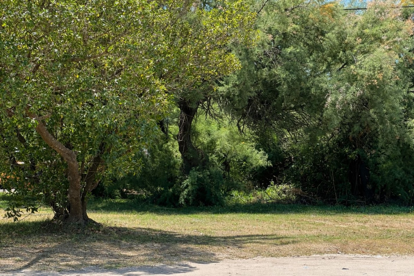 LOTE EN MAR CHIQUITA 