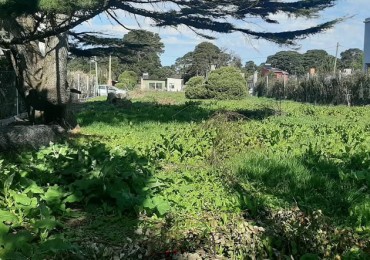 LOTE EN ACANTILADOS.